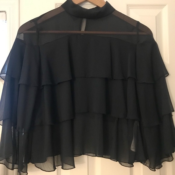 💕Zara💕Sheer Navy Top - Picture 4 of 6